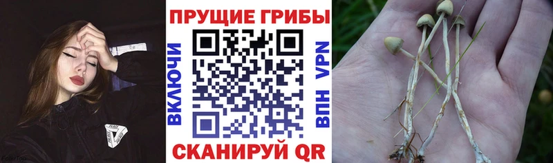 Галлюциногенные грибы MAGIC MUSHROOMS  Балашиха 